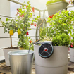 Slika Set za zalivanje GARDENA 13300-20 solarni sistem za 20 saksija